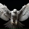 Фото профиля white Eagle