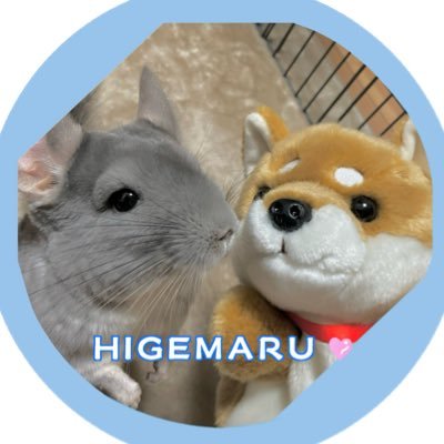 higemaru_chin's profile picture