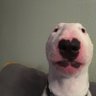 Ben B profil fotoğrafı