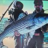 Mark Birch's profile picture