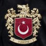 Profilbild von Mesut Yılmaz