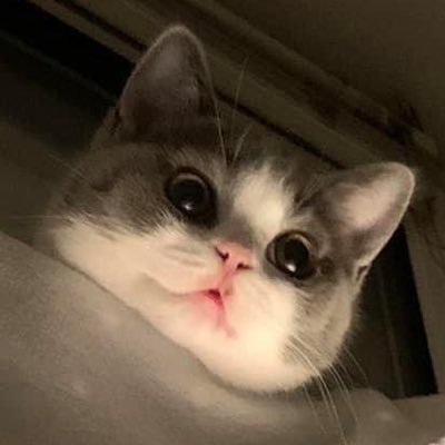 PMah16's profile picture
