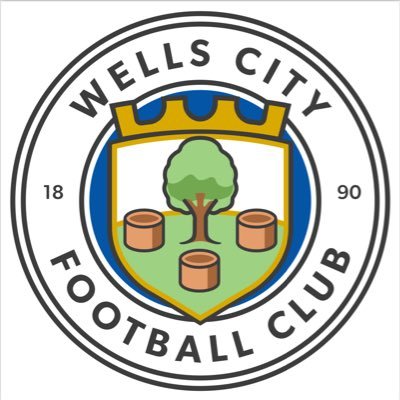 CityWellsfc's profile picture