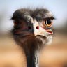 Thomas Amon profil fotoğrafı