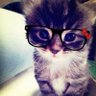 keisim's profile picture