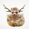 ゴマ三郎's profile picture