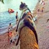 ﮼مصهلل profil fotoğrafı