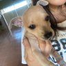 Sofía ♀ ⸆⸉ profil fotoğrafı