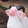 Profilbild von Pkdk