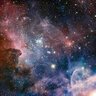 Gummyworm007's profile picture
