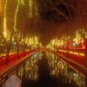 Фото профиля 西安之声