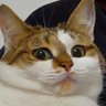 Kip Turpentine's profile picture