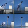 من بنها 🇵🇸💚's profile picture