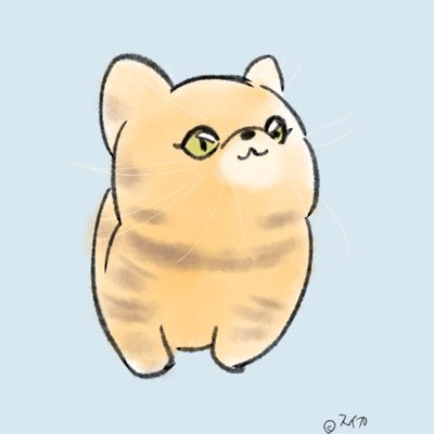 亀ぽま🐢's profile picture