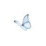 نُهىٰ's profile picture