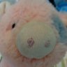 noel's profile picture