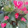 Фото профиля เมียตกเป็นทาส