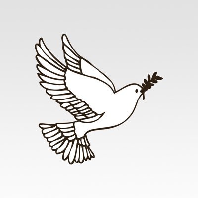 SALOMgazetesi's profile picture