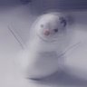 めだか profil fotoğrafı