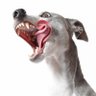 jr's profile picture