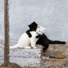 منم! profil fotoğrafı