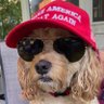 Kristy's profile picture