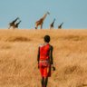 Gikonyo Kimani 🇰🇪's profile picture