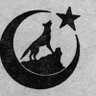 Profilbild von uzun paşa 🐺🇹🇷