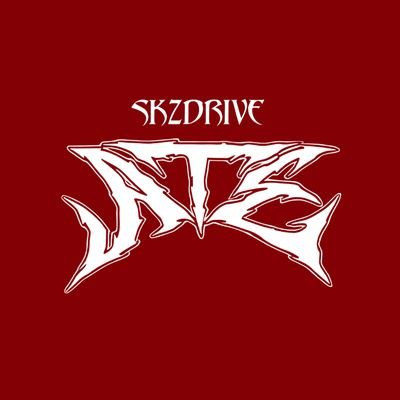 skzdrive's profile picture