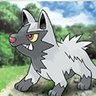 Фото профиля Poochyena nocturne nightmare