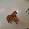 Mary Revilla L.'s profile picture