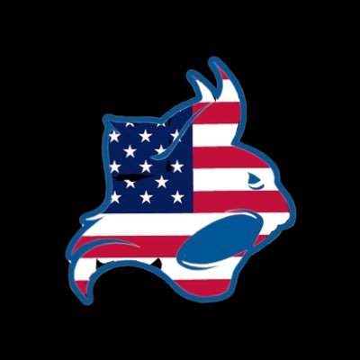 Peru State College Baseball's profile picture