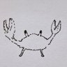 かにたま's profile picture