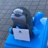 ぎんなみ Silver_wave's profile picture