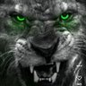 Profilbild von Lion Green