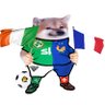 olivier jasko NAFO 🇺🇦 🇫🇷 🇮🇪 🇺🇸 💙 profil fotoğrafı