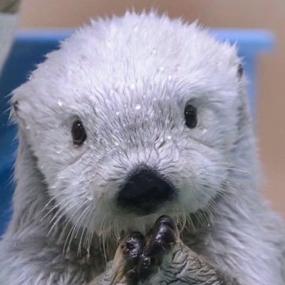 Miiiichstabe's profile picture