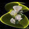 Profilbild von la Calla