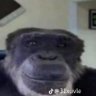 Profilbild von woozy