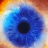 Profilbild von oddNumm