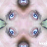Profilbild von Pacoke