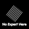 Profilbild von NoExpertHere