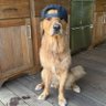 Buddylove23's profile picture