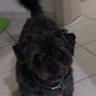 Ivy profil fotoğrafı