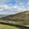 Yorkshire7777777 的头像