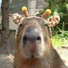 Profilbild von |-|-|-|-|-|