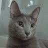 ㅇㅇ profil fotoğrafı