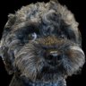 Фото профиля static_assert(false)