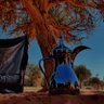 كـــولف|kulf 的头像