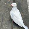 Profilbild von 敘述餓餓